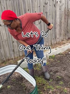 #onethingatatime #onethingtoday #getonethingdone #clean #cleaning #cleanwithme #garden #gardening #gardening101 #gardenproject #zone8b #zone8bgarden #zone8bgardener #zone8bgardening 