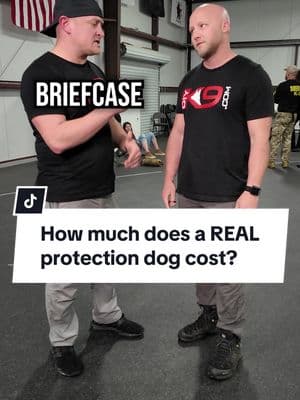 So you want a legit protection dog? Be ready to drop at least $100K. 💵 But here’s what nobody tells you: 1️⃣ You can’t just buy one and expect it to work—it’s not a security system. 2️⃣ Without constant training, your dog might never bite when needed… or worse, lose control. 3️⃣ You’ll need a skilled trainer & decoy just to keep that dog sharp. 4️⃣ It’s like buying a sports car—if you don’t maintain it, it won’t perform when you need it. If you want to learn how to train your dog from Zero to Hero... Check out our FREE COURSE "DECODED" - LINK IN PROFILE #DogTraining #puppytraining #puppyfun #dogoftheday #puppytrainer #dogobediencetraining #balanceddogtraining #dogsaregreat #recall #puppytrain #k9trainer #dogobedience #dogbehavior #dogtrainingtips#protectiondog #dogtrainingfundamentals