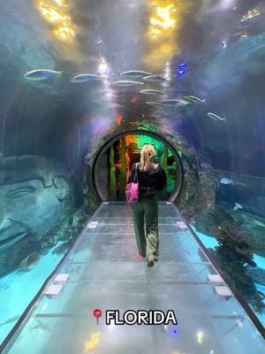 Underwater tunnel in Florida #aquarium #sealife #secretspot #travelideas #thingstodoinorlando 