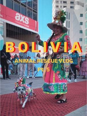 Please donate or share our GoFundMe to support the rescue community in La Paz❤️🐾 . .  #lapaz_bolivia🇧🇴 #lapazbolivia #lapaz #bolivia #bolivia🇧🇴 #boliviatiktok #boliviana #doglover #doglove #dogsoftiktok #dogs #fundraiser #fundraising #gofundme #gofundmehelp #gofundmedonations 