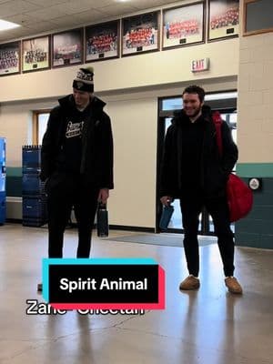 This week the bobcats give you their spirit animals #question #funny #animal #hockey #bobcats #fyp #hockeytok #fypage #spiritanimal 