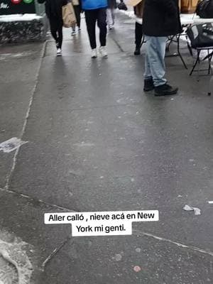 Nieve en las calle del Bronx genti. #poniendoley #newyork #informe #noticiastiktok #noticiadeultimahora #genti 