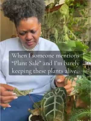 I have a problem 🤣🤣 but it doesn’t hurt anyone🤣. #plantproblems #plants #plantsoftiktok #plantmama 