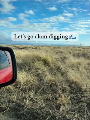 Some of my earliest memories look just like this. It makes my heart burst that they get to experience the happy memories from my own childhood. We consider moving often, but I don’t think we will venture too far from a beach . 🤍🌊 #wacoast #pnw #pnwbeaches #pnwonderland #coast #beachvibes #beach #razorclams #dig #washingtonstate #beachvibes #beachbaby #waders #kidsoutdoors #outdoorgear #kidsoutdoorgear #grundens #washingtoncoast #carhartt #1000hoursoutside 