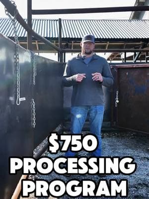 Here's how our $750 flat rate processing program works! We are a 4th generation cattle ranch building a direct to community beef company! Check us out at www.ParkerCountyBeefCompany.com #beef #ParkerCountyBeef #eatbeef #QualityBeef #Localbeef #UpgradeYourBeef #BetterBeef #EatLocal #LocalIsBetter #QualityFood #TexasBeef #Farm #Ranch #FarmTok #RanchTok #Ranching #Cow #Cows #Cattle