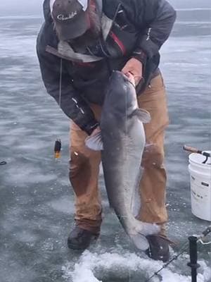 Best ice fishing compilation!! #mostviralvideo #fishing #amazingvideo #captainredbeard #jasonhyman #jasonsfishguides #viral #hugefish #icefishing 