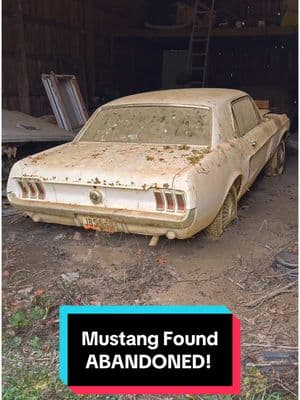 Mustang Found Abandoned! #wddetailing #detailing #carwash #carcleaning #satisfying #satisfyingvideos #barnfind #fyp #abandoned #cardetailing #pressurewashing #asmr #trending #trend #asmrvideo 