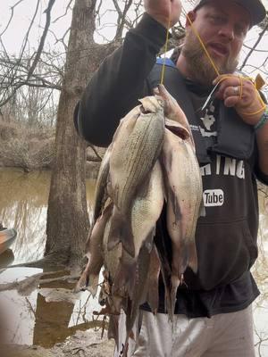 White bass run 2025 is heating up in Texas! #whitebassfishing #whitebassspawn #whitebassrun2025 #whitebassrun #fishing #fyp #fishingtiktoks #903fishing #903areacode #tylertx #903 #texasfishing #fishing #foryoupage #fishtok #fishingtok #fishingtime #fishinglife