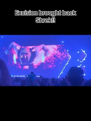 #ravevisuals #ravetok #rave #thunderdome #excision #shrekislove #shrekvisuals 