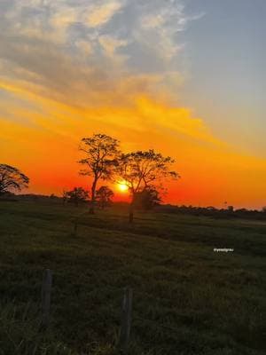 🤠🤠🤠#llanura #llanovenezolano #jorgeguerrero 