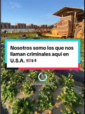 Comparte este video. Haz que nuestra voz se escuche… #pizcadefresa🍓 #california #latinosenusa🇲🇽🇺🇸 #inmigrantes #marcelo_lopez953 