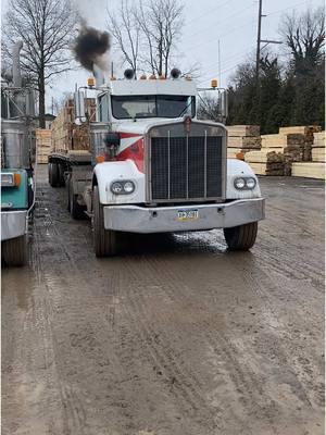 A row of old junkers  #kenworth #w900a #amodel #amodelkenworth #peterbilt #379 #peterbilt379 #petermobilin #caterpillar #3406b #bmodelcat #logging #logger #lumber #offroadtrucking #cadillacin #oldiron #rattletrap #antiquepower #flatbedlife #trucking #ladydriven #ladytrucker #womenintrades #bluecollarbabe 