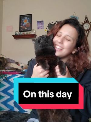 #onthisday #blackcat #furbaby #furmom #catmom #catsoftiktok #catoftiktok #tiktokcats #tiktokcat #blackcatsoftiktok #blackcatsaregoodluck #doesyourcatdothis #trendycat #catchallange #tiktokblackcats #tiktokblackcat #justwokeup #catjustwokeup #catfollowsme #catfollowsdaughtereverywhere #clingycatsoftiktok #vocalcatsoftiktok #clingycat #clingycats #vocalcat #vocalcats #wontleavemealone #catsbelike #spoiledcatsbelike #spoiledcatsoftiktok #spoiledcatcheck #spoiledcatslivehere