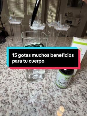 Elimina el mal aliento, mejora tu sistema inmune, mejora el estado de tu piel eliminando el acné, aumenta tu energía, desinflama tu panza, elimina toxinas y muchos beneficios más en solo 15 gotas en un vaso de agua #clorofila #clorofilaliquida #clorofilaeaplantaverde #beneficiosdelaclorofila 