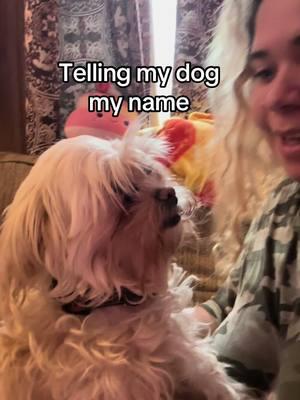 Go follow @Daisey #fyp #tellingmydogmyname #fypシ #foryoupage #fypシ゚viral #funny #dogsoftiktok 