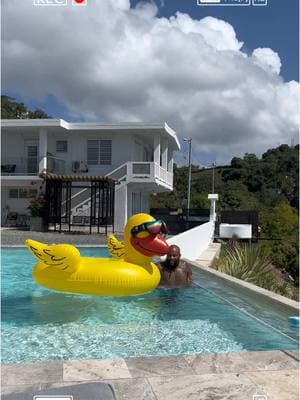 Me and Sir Duckolas pool side in Alaska #pool #puertorico #vacation #views #goals #livinglife #anasco #fyp #bookthatflight