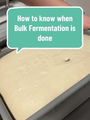 How to know bulk fermentation is done ✅ #sourdoughbread #bakersoftiktok #sourdough #bakingbread #bulkfermentation 