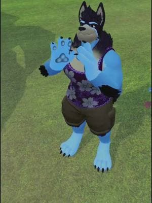 He wanted his keys  @blueicetigers @MidEvilChan  #vrcfurry #vrchatfurrycommunity #CapCut #papagen #4upage #furrytiktok #furry #furryfandom #vrchatavatar #vrchatfurry #vrchatcommunity #vrchat #bluey 