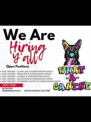 We’re hiring for trainers y’all! If you’ve always wanted to train dogs or have experience training dogs APPLY NOW! Can’t wait to meet y’all! 🤠 #jobs #DogTraining #trainer #whatacanine #applynow #fyp #chamberscounty #baytowntx #montbelvieutx #clearlaketx #webstertx #harriscounty #houston #houstontx #pearlandtx #sugarland #woodlandstx #humbletx #texascitytx #dickinson #galvestontx #galvestoncounty 