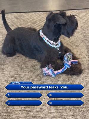 E: You use Guardio to run a security scan, find out exactly which password leaked and change it.  #password #leak #dataleak #databreach #dogtok #cute #trivia #passwords #onlinesafety #cyber #cybersecurity #fyp #relatable #dog #dogs