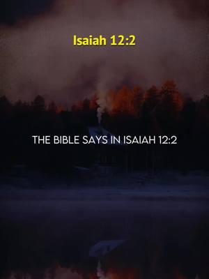 Isaiah 12:2 “See, God has come to save me. I will trust in him and not be afraid. The LORD God is my strength and my song; he has given me victory.” #isaiah12v2 #mybibleverse #biblequotes #godquotes #christiantiktok #prayersdaily 