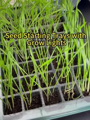 These seed starting trays are amazing! They come with grow lights and are super heavy durable plastic so they are going to last years! #seedstarting #springgarden #seeds #gardening #gardentok #homesteading #seedtrays #yearendsale 