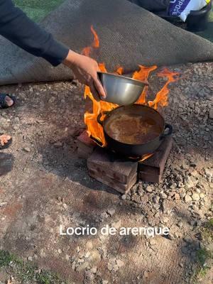 Locrio de arenque en fogón Ingredientes  Arenque  4 tazas de arroz  3 tazas de agua  Pimienta al gusto  Sal al gusto  Adobo  1 cucharada de sazón de tu preferencia yo siempre uso el mío  1/2 cucharadita de ajo  Cebolla  Ají  Verdura  1 cucharada de salsa de tomate Aceite  Procedimiento Poner en agua el arenque por un rato  Agregar aceite al caldero el arenque sofreír  junto con los ingredientes mencionados exceptuándolo arroz y luego agregar agua y sal si es necesario, deja que el agua hierva luego introduces el arroz y dejas que seque más adelante procedes a voltear y después agregas 1 cucharada de aceite deja cocinar unos minutos más y Listo sírvelo con lo que guste  #recetasdelarubia #locriodearenque #republicadominicana  @lacasitadelarubia