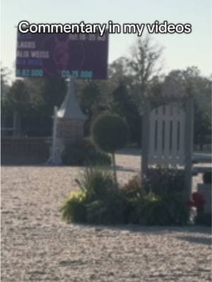 The chaos was real @Savvy @Brielletaylor #horsebackriding #equestrian #equestrianlife #horseshows #equestrianrider #hunterjumper #wec #wintercircuit #equestrianmoments 