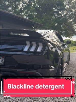 Blacklines Microfiber Detergent is crazy cheap!! #trend #trending #blacklinecarcare #blackline #coyotemustang #coyote 