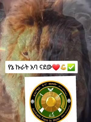 #duet with @እንድሪስ ወሎ የቦረናው🎧🔥 #wollo #አማራዬ💚💛❤አማራዬ💚💛❤️ #ፋኖነት💚💛❤️💪_ክብሬ_ነው 