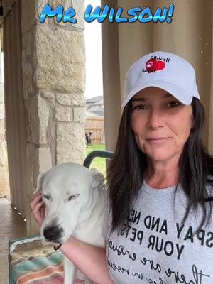 Help by purchasing a shirt, hoodie, or a hat or ALL today!!! Let’s build our rescue to help more animals in need!! #together #texas #unitedstates #wegotthis👊 #teamwork #youknowyouwantto #support #fyp #youdontsay #omegaathletics #goals #makeitgreat #loveyou #stopdumpinganimals #savewilson #wilson 