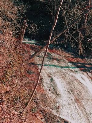 Nature Vibes in Georgia - Blood Mountain Creek - Walking in Nature  #waterfall #waterfalls #nature #naturevibes #naturelove #naturelover #naturelovers #calming #positivevibe #peaceful #goodvibes #longwaydown #forest #forestvibes #photography #beauty #fyp #takeawalk #explore #trail #Hiking #hike #Outdoors #trails #lovetrails #positivevibes #natureisbeautiful #meditation #aestheticnature #timepass #lostworld #meditate #trailspinexplorer  #hiddengems 