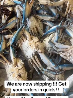 Looking like we will start our shipping season a little early! Please share ! Get your orders in ! #fyp #louisiana #louisianacrabs #louisianabluecrabs #louisianaseafood #crabs #bluecrabs #seafood #commericialfishing #crabber #thecrabman 