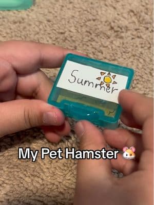 My Pet Hamster 🐹 #hamster #hamstersoftiktok #pets #papercraft #cute #creative #foryou 