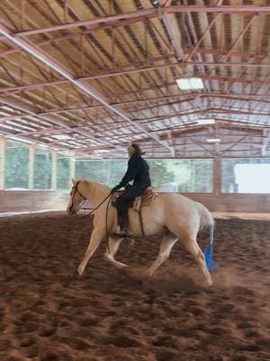 Mel lopin around oh so nice and gettin after some cows yesterday 🥳 #horsetraining #prettyhorse #barrelracing #legallyfrench #hayhotshot #cremello #quarterhorse #cowsorting 