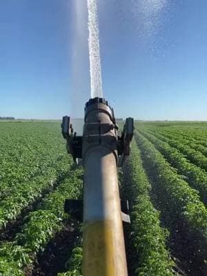 Satisfying Sprinklers 💦 #sprinkler #sprinklers #sprinklertok #sprinklersystem #farming #satisfying #oddlysatisfying #fyp 