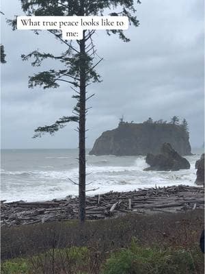 I need to go back so bad #olympic #olympicnp #olympicnationalpark #nationalpark #washington #washingtonstate #hike #hiker #hikes #fyp #foryou #foryoupage 