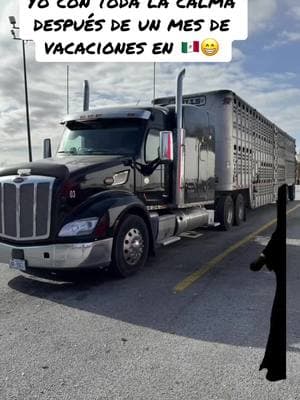 #CapCut #millsfarmtrucking #livestock #trailerosmexicanos🇲🇽💯😎 #theblackbear🐻 #trokerosdemexico #dejatuloguaposoyganadero🤙🤠 #ganaderos 