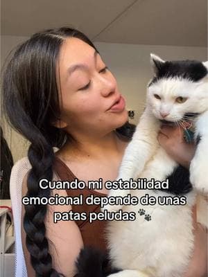 Que haría sin ti 🥺❤️‍🩹🥺 #terapiaemocional #gatosdetiktok #michis #terapiasalternativas #apoyoemocional #gatitostiktok #amoranimal #gatolover 