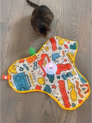 She begs for it to be turned on like 5 times a day. 🐈🐈🐈 She is #obsessed #cattoys #cattoy #adorableanimals #obsessedwithit #estimulacion #playingaround #fyp #catsoftiktok #catmom #revolutionary 