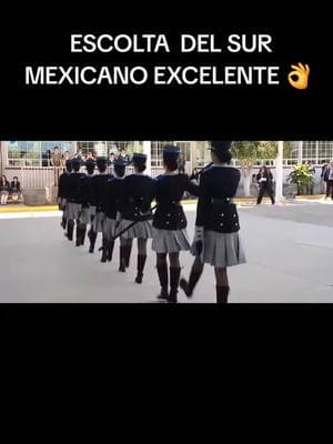 SORPRENDENTE #viralvideo #mexico #escoltadebandera #parati #bandadeguerra #escolta #estilomilitar 