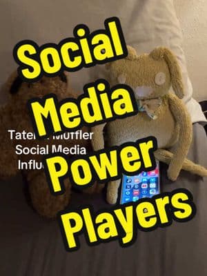 #influenster #smm #socialinfluencer #tater #muffler #topinfluencer Muffler The Bear & Tater The Ragdoll are a Social Media influencer tag-team powerhouse duo running my SMM influenster marketing campaigns.🧸📱🥔 #influencermarketing 