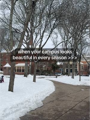 i love love love the snowy campus🤩❄️ and yes that is a couch #snowaesthetic #collegecampus #frankadvice #brownuniversity #campusgoals 