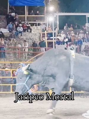 Cuidado con el toro 😱💥 #jaripeo #jaripeoranchero #jaripemortal #ranchoelguamuchil #jaripeyerodecorazon 