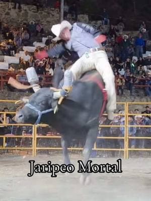 Es el salmo 91 😱 #jaripeo #jaripemortal #ranchoelguamuchil #jaripeyerodecorazon #rancho 