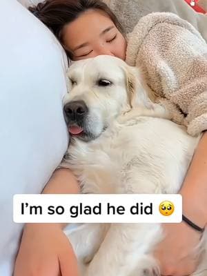 Would you let your dog sleep with you? #pet #cat #dog #cute #animals #foryou #typ 