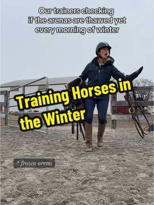 Our trainers begging for an indoor for our rescue horses like… ❄️🐴 #HorseRescue #horsesoftiktok #animalsoftiktok #horsetrainer #horsetraining #winterblues #winterwithhorses #fyp #rescue 