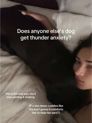 If you have any other suggestions lmk please! 🐶🌧️⚡️#dogsoftiktok #doganxiety #rainstorm #anxiousdog #thundervest 