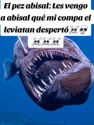 El pez abisal: Les vengo a abisal qué mi compa el leviatan despertó#pezdiablonegro #leviatan #viralvideo #pezdiablo #alerta #paratiiiiiiiiiiiiiiiiiiiiiiiiiiiiiii 