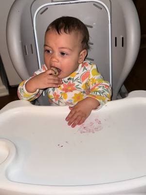 She tore these up!!! #foryoupage #babyledweaning #blw #blwideas #blwmeals #babytok #MomsofTikTok #momtok #fyp #babyledweaningideas #babyledweaningrecipe #solidstarts #8monthsold #blwbreakfast #2under3 #blwrecipes 